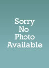 Image of Steve Snyder Image of Steve Snyder