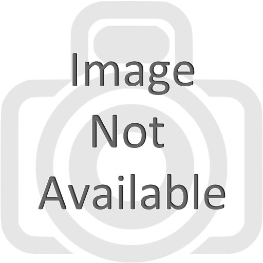 Image of Allan Dykes Image of Allan Dykes