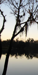 Lake Alice at sunrise