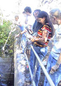 Every month, students collect data and water samples across campus. Photo by Ondine Wells.